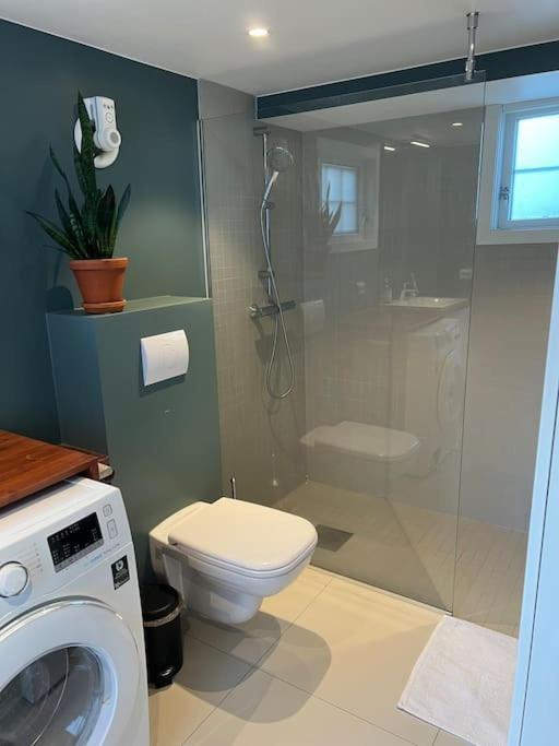 Sentrumsnaer I Apartment